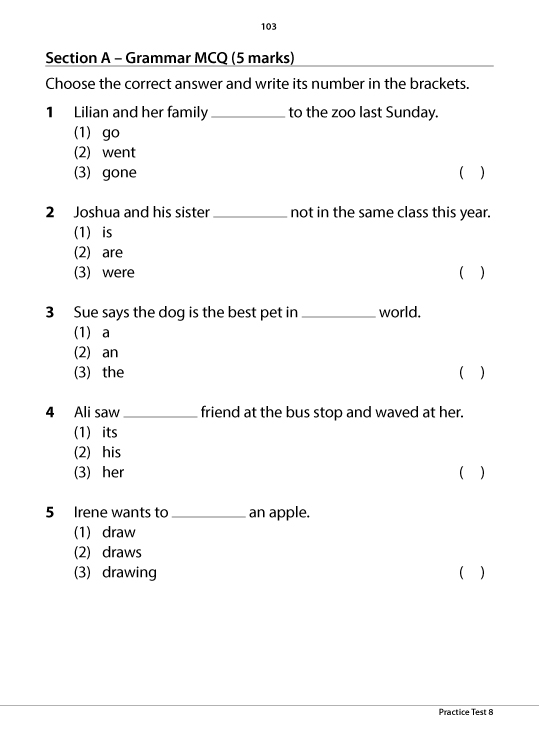 Primary 1 English Exam Test Papers