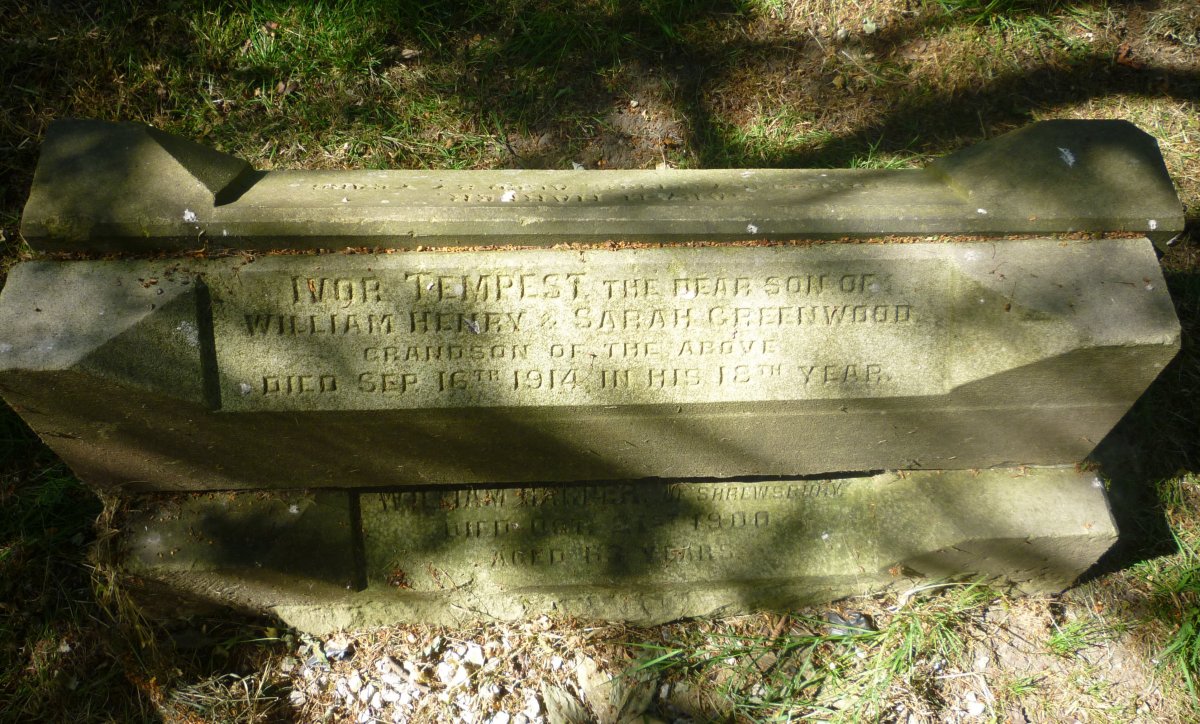 Ivor Tempest GREENWOOD Soldier Record Craven's Part in The Great War