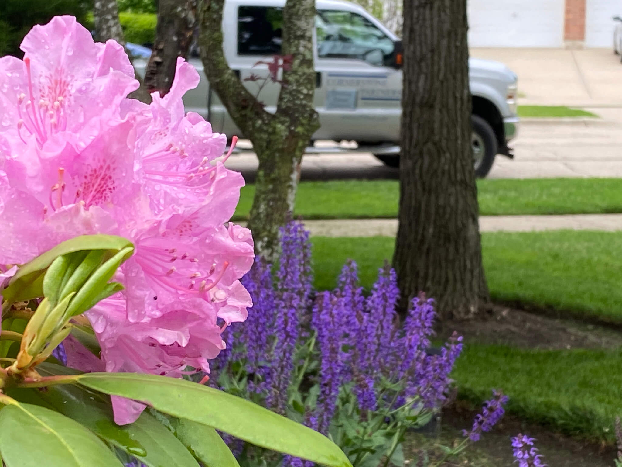 Keeping St. Charles, IL Homes Looking Their Best W/ Expert Landscape