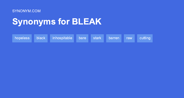 Another word for BLEAK > Synonyms & Antonyms