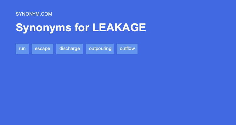 Another word for LEAKAGE > Synonyms & Antonyms