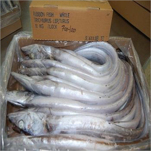 Frozen Ribbon Fish Manufacturer, Exporter from Philippines at Latest Price