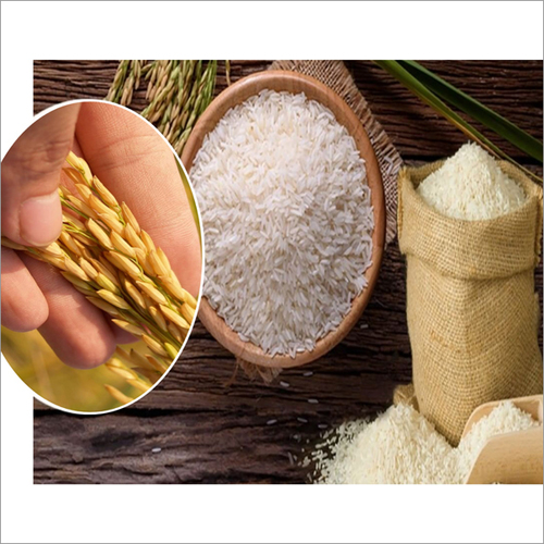 Organic Fresh Rice at Best Price in Nagpur, Maharashtra Synergy World