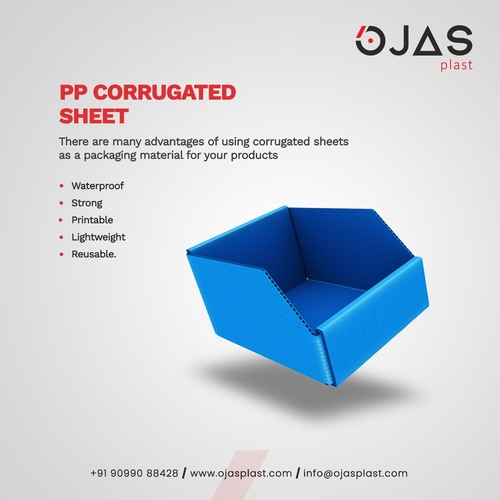 Polypropylene(Pp) Polypropylene Sheets at Best Price in Tankara