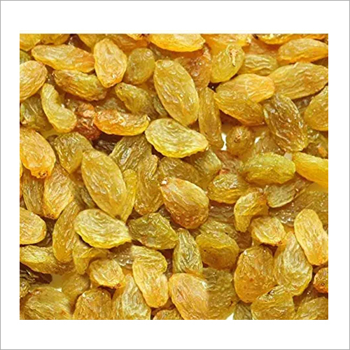 Golden Natural Raisin at Best Price in Amla, Madhya Pradesh Kunal