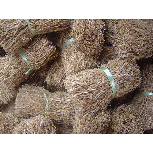 Vetiver Roots Dry Place at Best Price in Madurai Kumaaran And Co