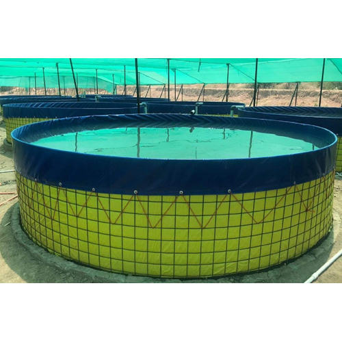 Fish Farm Aquaculture Services in Laxmi Nagar, Delhi Nagodas Fish