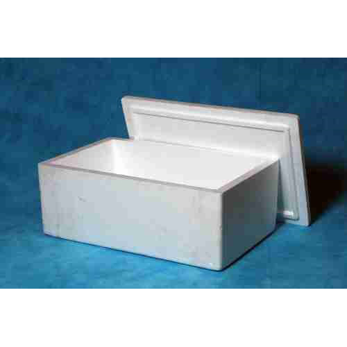 Glossy Lamination Fish Packaging Box at Best Price in Navi Mumbai