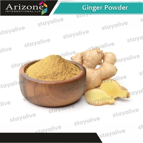 Brown Ginger Powder at Best Price in Daman, Dadra and Nagar Haveli and