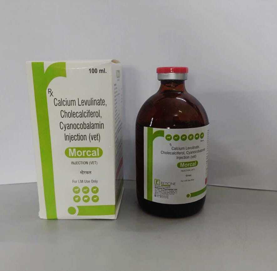 TOP 10 ANIMAL FEED SUPPLEMENT DISTRIBUTOR Manufacturer,Supplier,Exporter