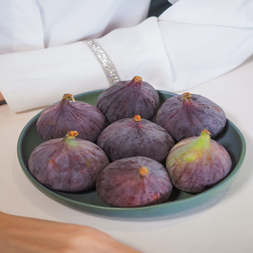 Organic Fresh Figs at Best Price in Chhatarpur, Madhya Pradesh