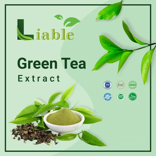 Green Tea Extract Powder Direction As Suggested at Best Price in Noida