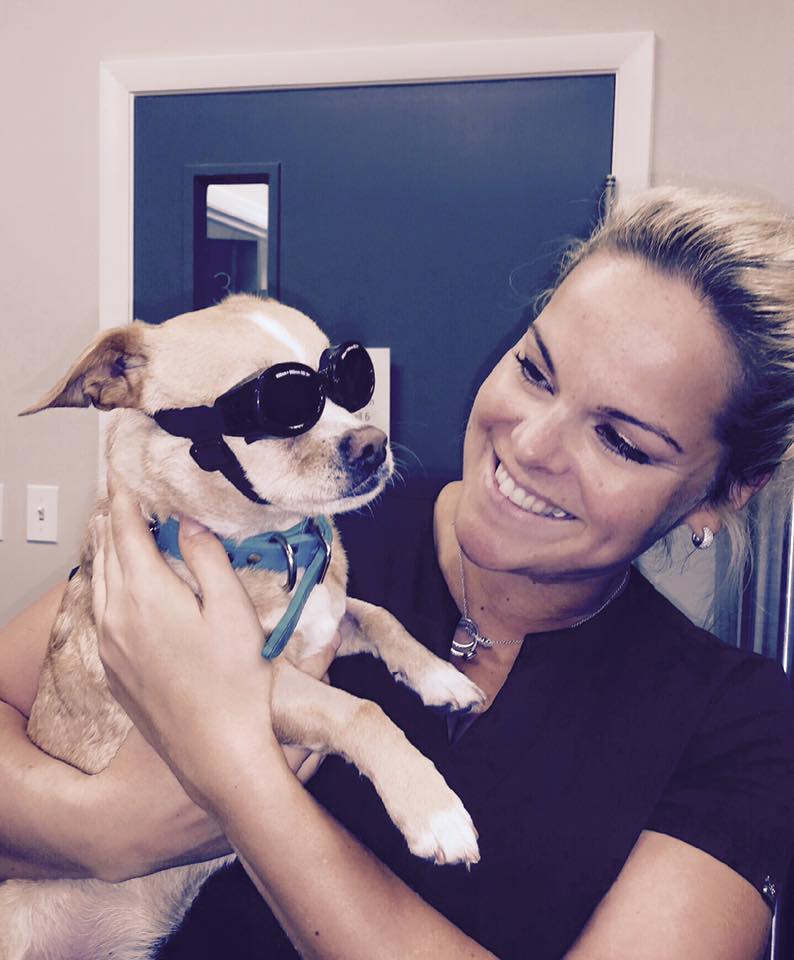 Are Dogs Allowed In Public Swimming Pools