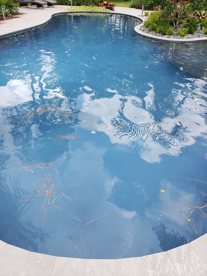 ☁ How to Clear Cloudy Pool Water Fast Pool Operator Talk News🗞