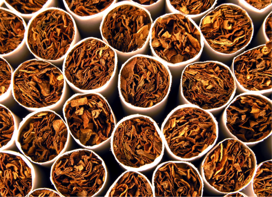 A Primer on Tobacco Consumption and Regulation in Nigeria » CPPA