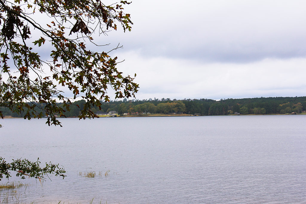 Lake Living Charles Pool Real Estate Nacogdoches, Texas Realtor