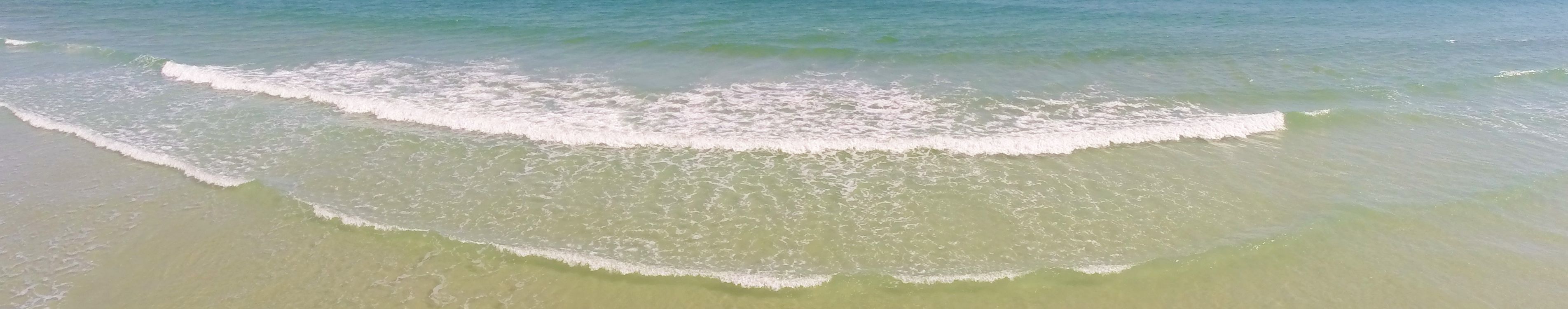 Home South Atlantic Real Estate Group