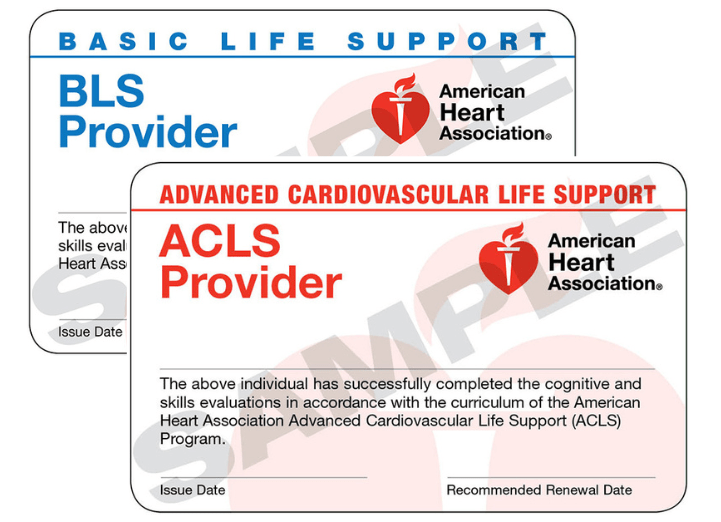 Best AHA bls acls pals combo package certification classes