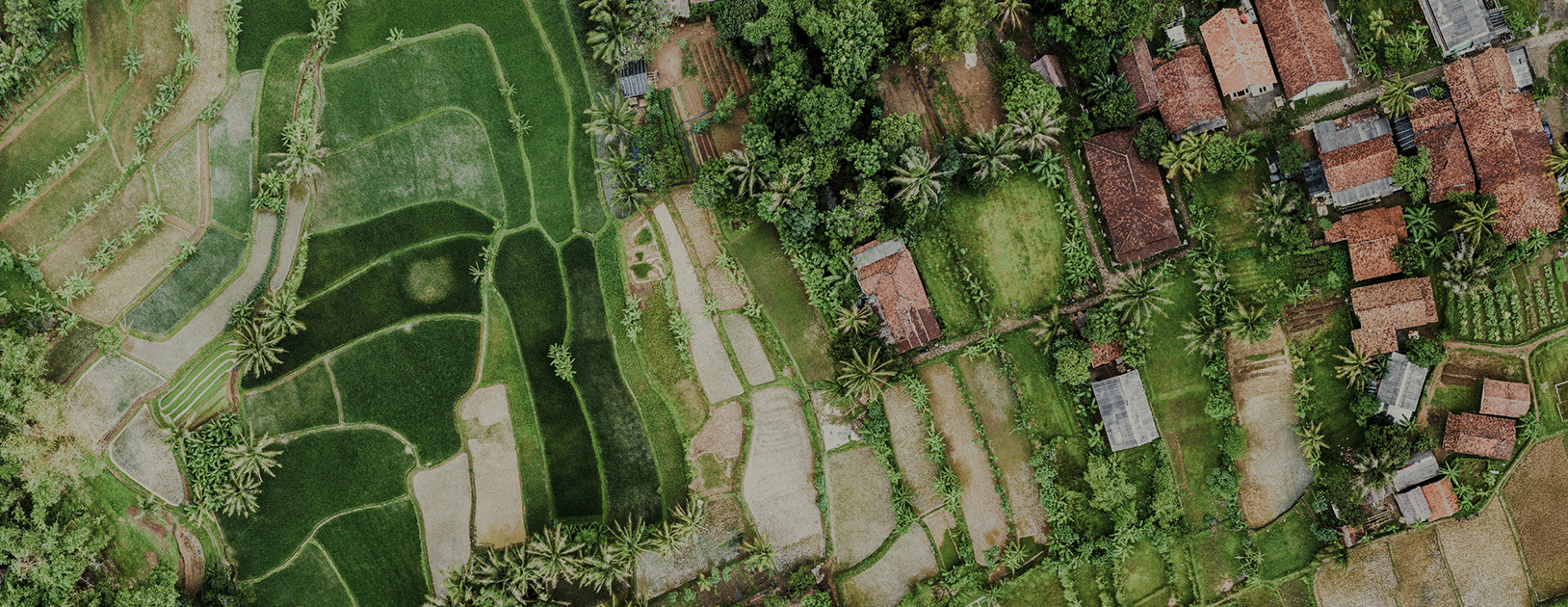 Understanding Land Conflict in India and Suggestions for Reform CPR