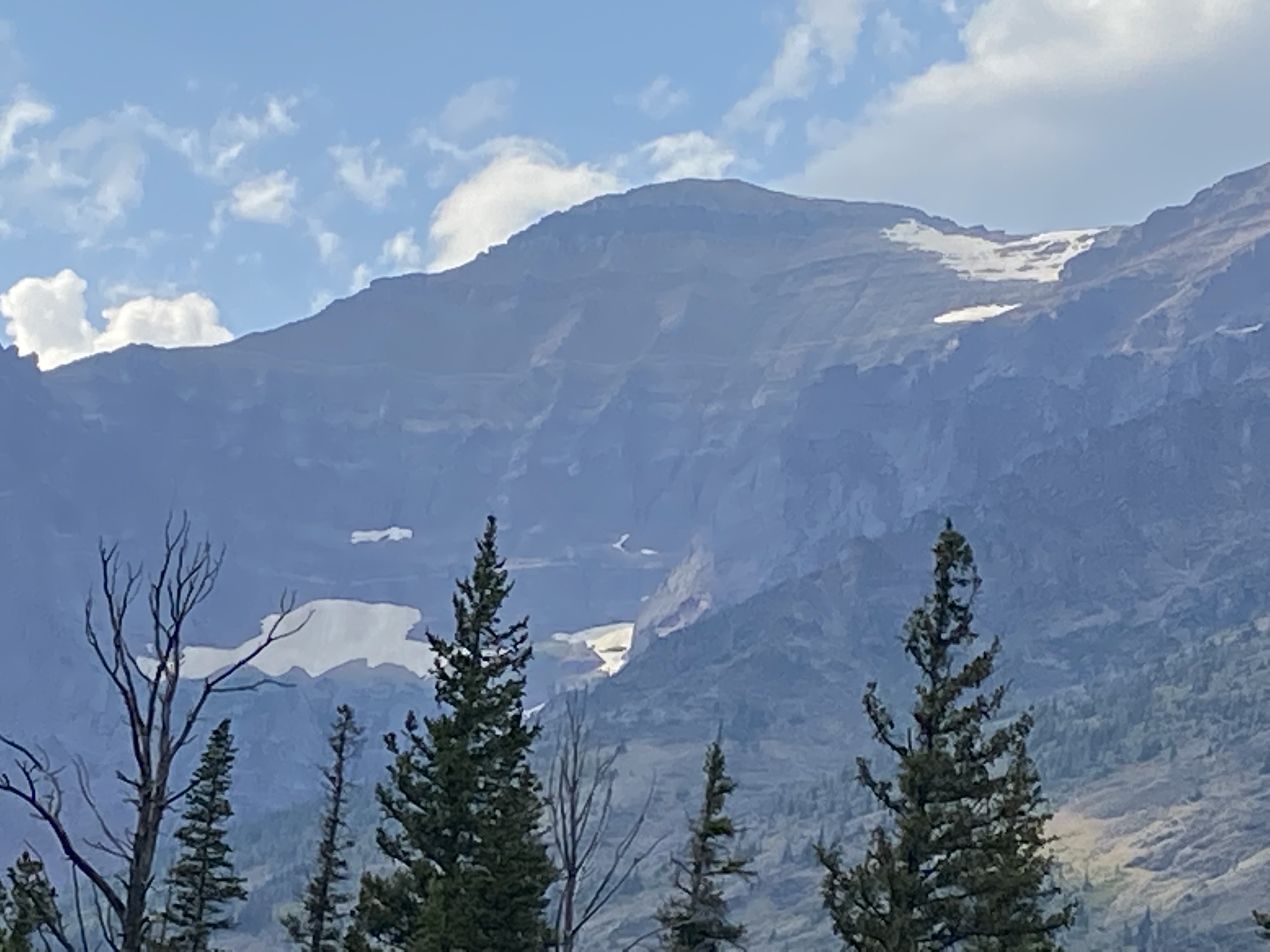 CPT Visits Montana CPT Service Dog Training Board Training
