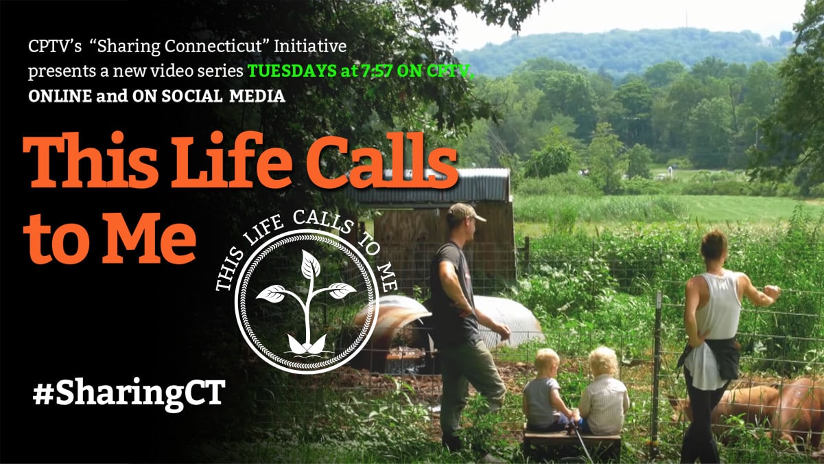 TV Schedule for Connecticut Public Television (CPTV)