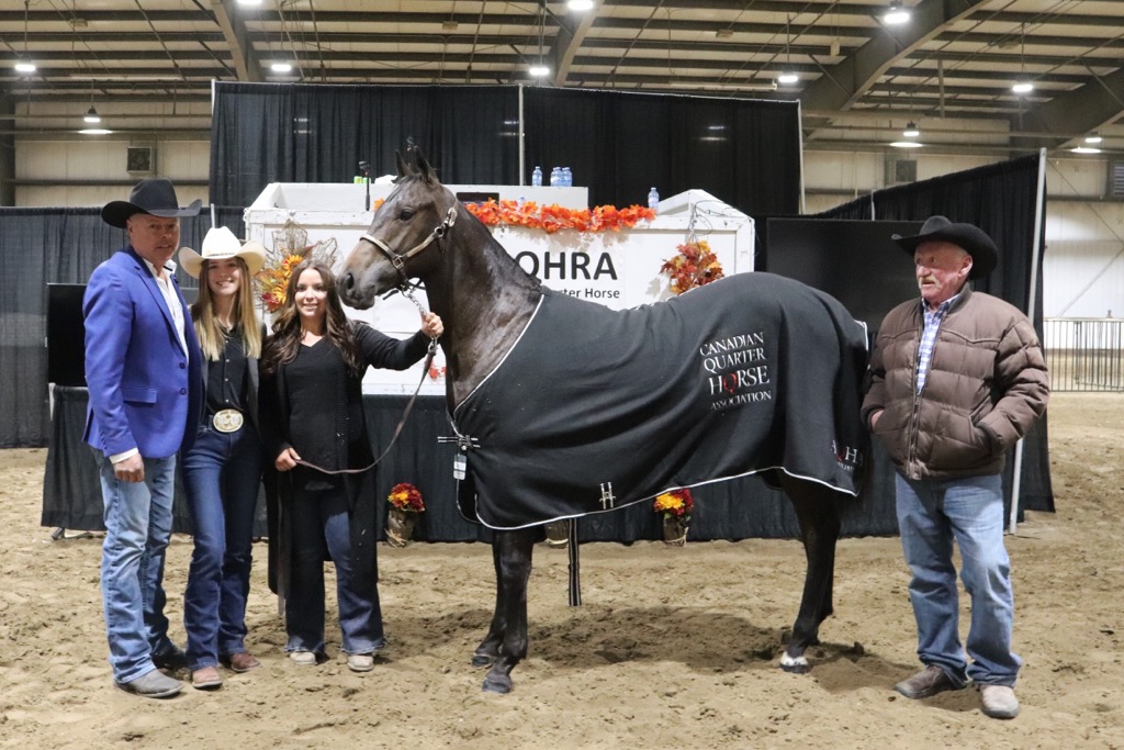 Big Weekend of Action for Racing Quarter Horses in Alberta Canadian