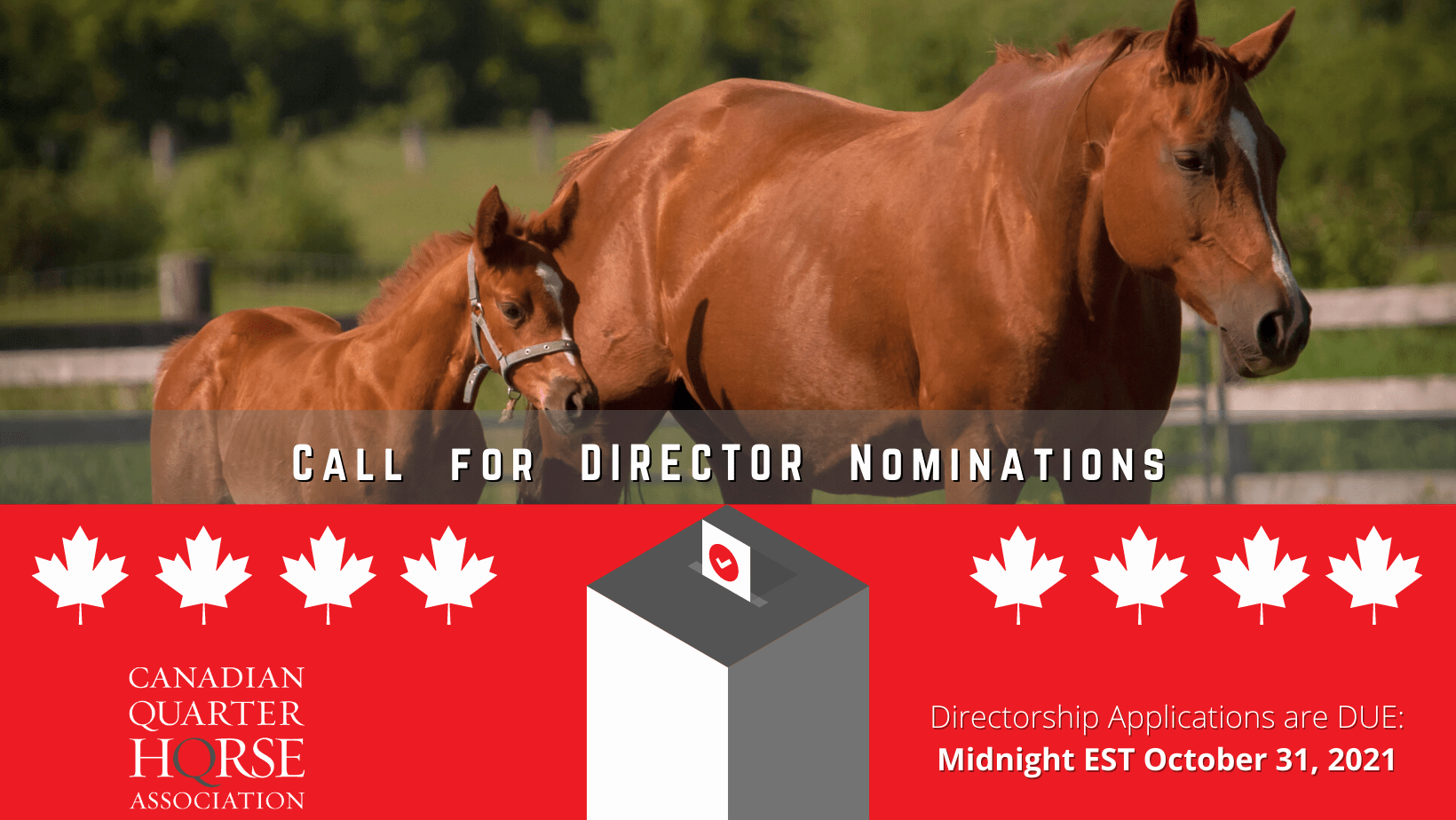 Call for Nominations Canadian Quarter Horse Association