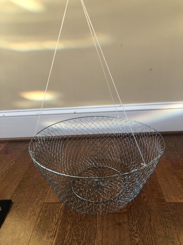 How To Go Crabbing With Ring Nets (For Blue Crabs) Crabbing Hub