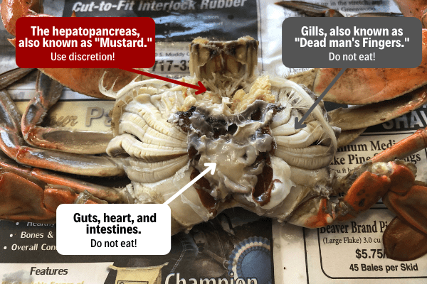 Parts of a Blue Crab You Shouldn’t Eat! (With Images) – Crabbing Hub
