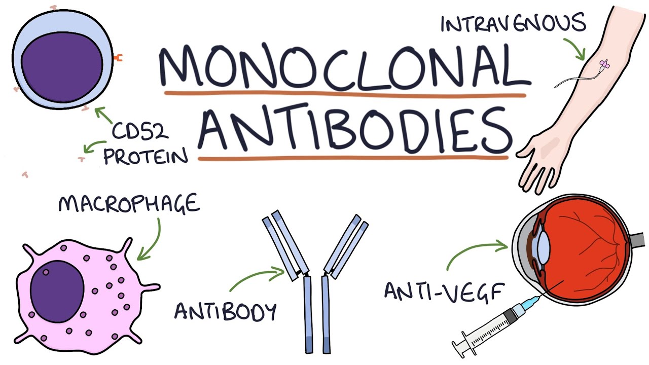 REGENCOV2 Monoclonal Antibodies on Covid 19 UPSC Notes