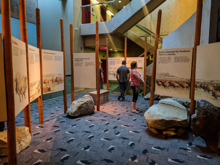 HeadSmashedIn Buffalo Jump Guide