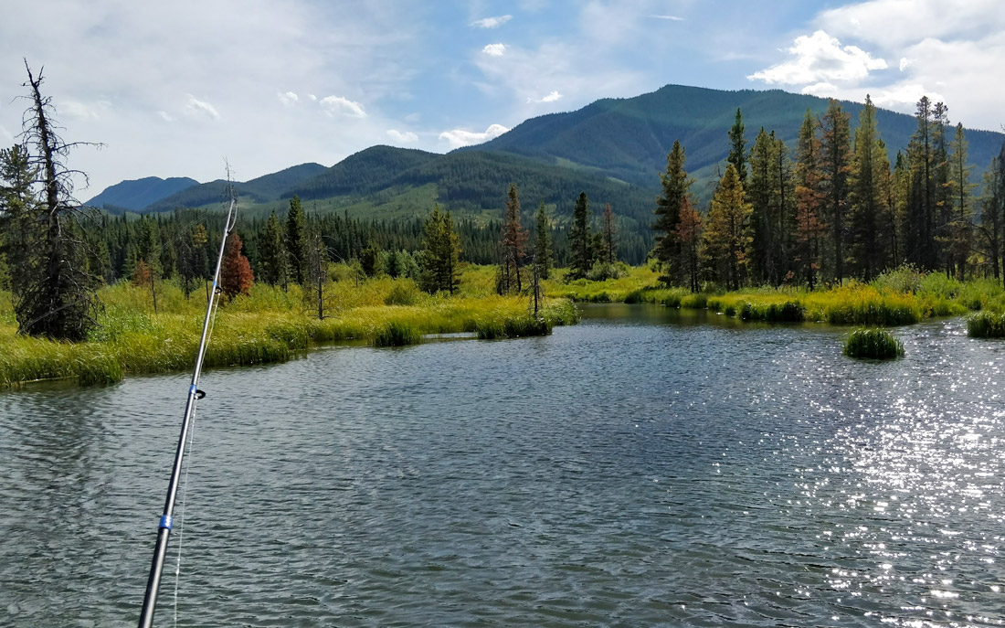 Comprehensive Guide Getting Started With Fishing In Alberta