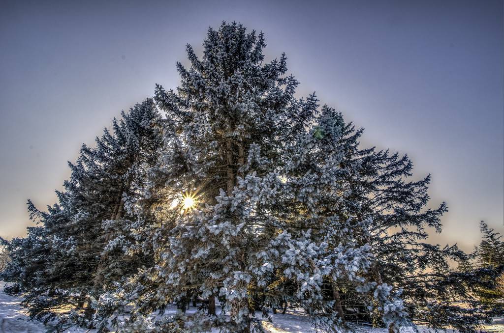 Memorials • Cradle of Hope