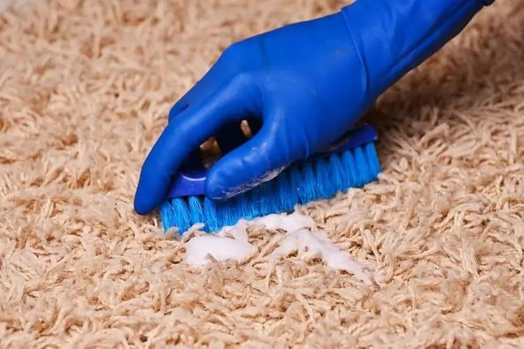 How to Get Glue Out of Carpet Remove Glue From Carpeting