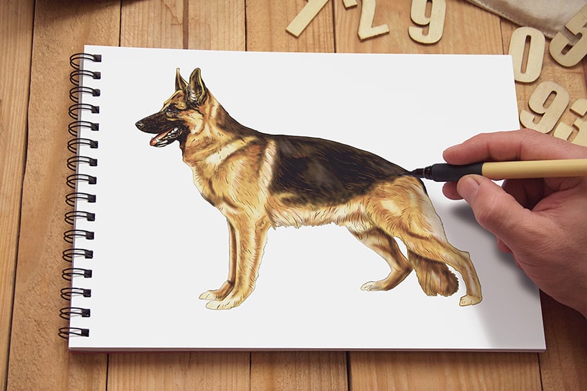 How to Draw a German Shepherd A German Shepherd Drawing Tutorial