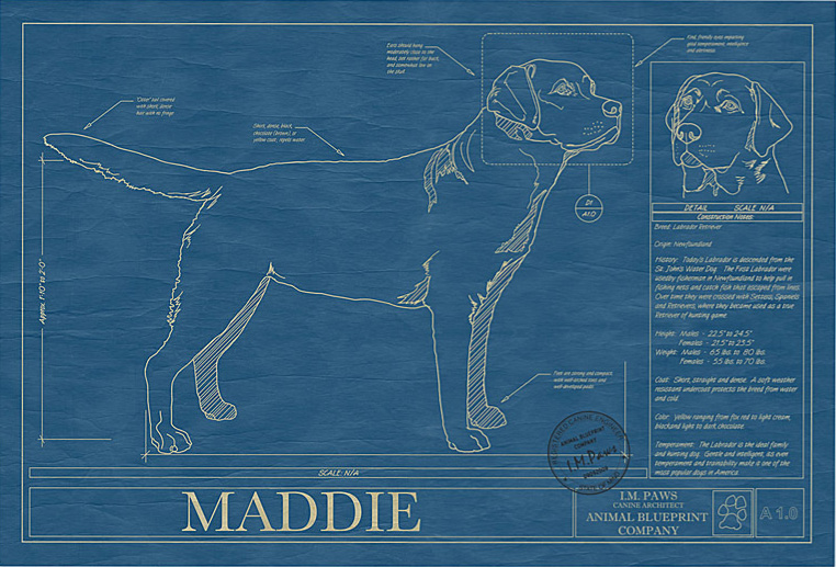dogblueprint CraftMart
