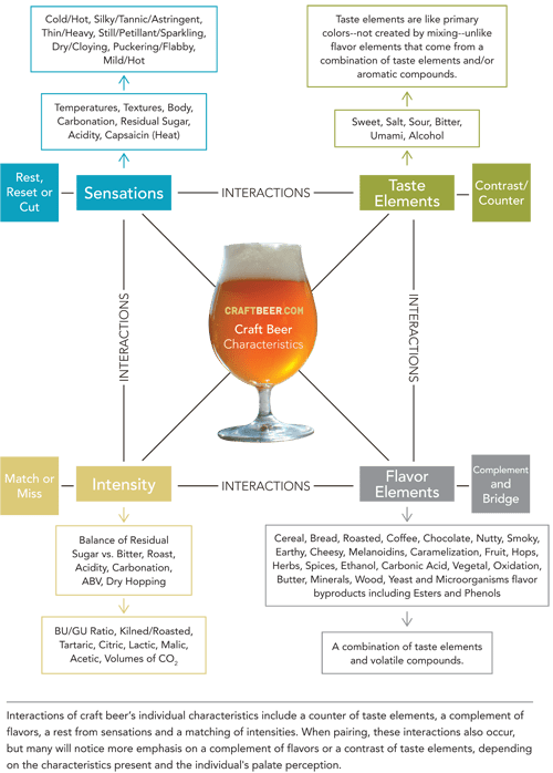 Unscrambling Your Senses Interpreting Craft Beer and Food Pairings