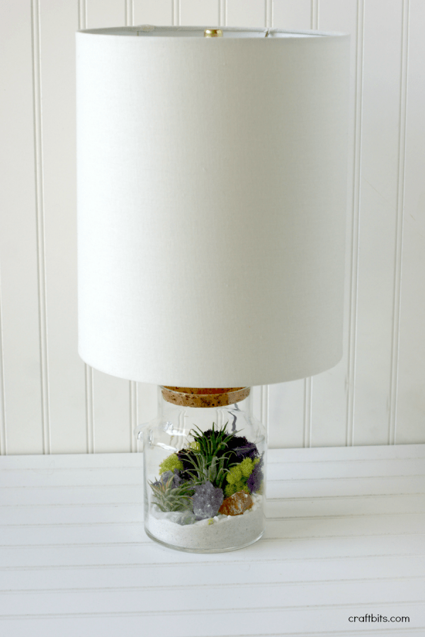 DIY Terrarium Lamp —