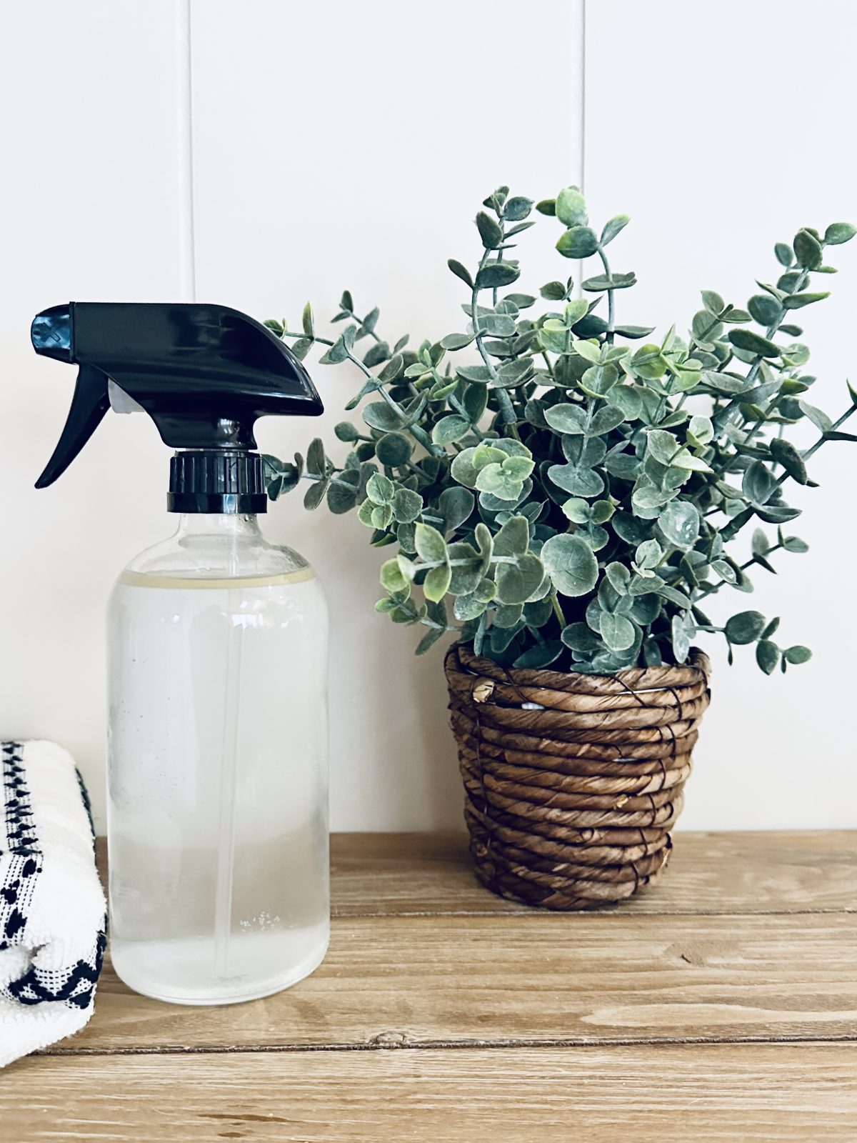 DIY Daily Shower Cleaner Recipe —