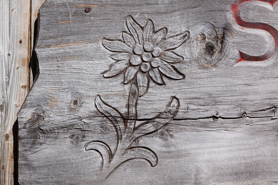 How to Engrave Wood? Dremel, Router, Chisel & Cricut Craftbuds
