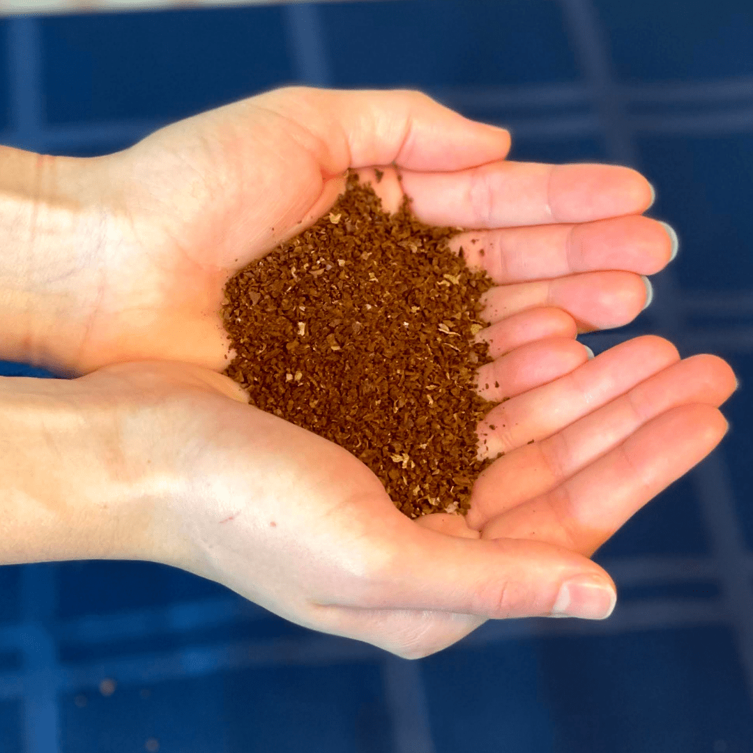 How To Brew French Press Coffee Step By Step Guide