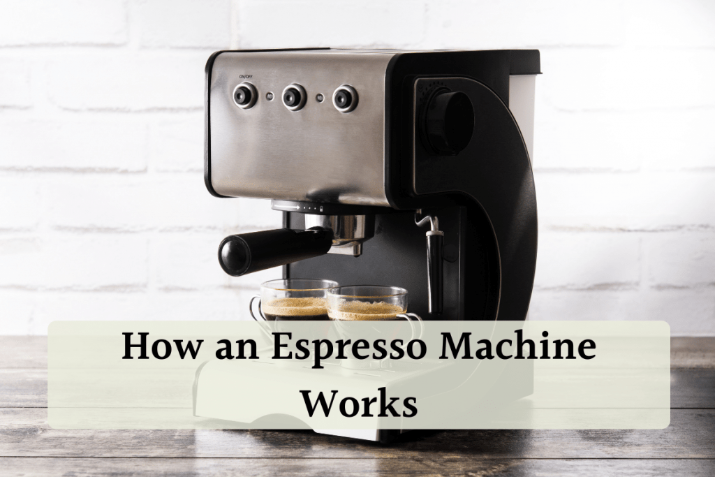 Best Pump vs Steam Espresso Machine Easy and Homemade Options