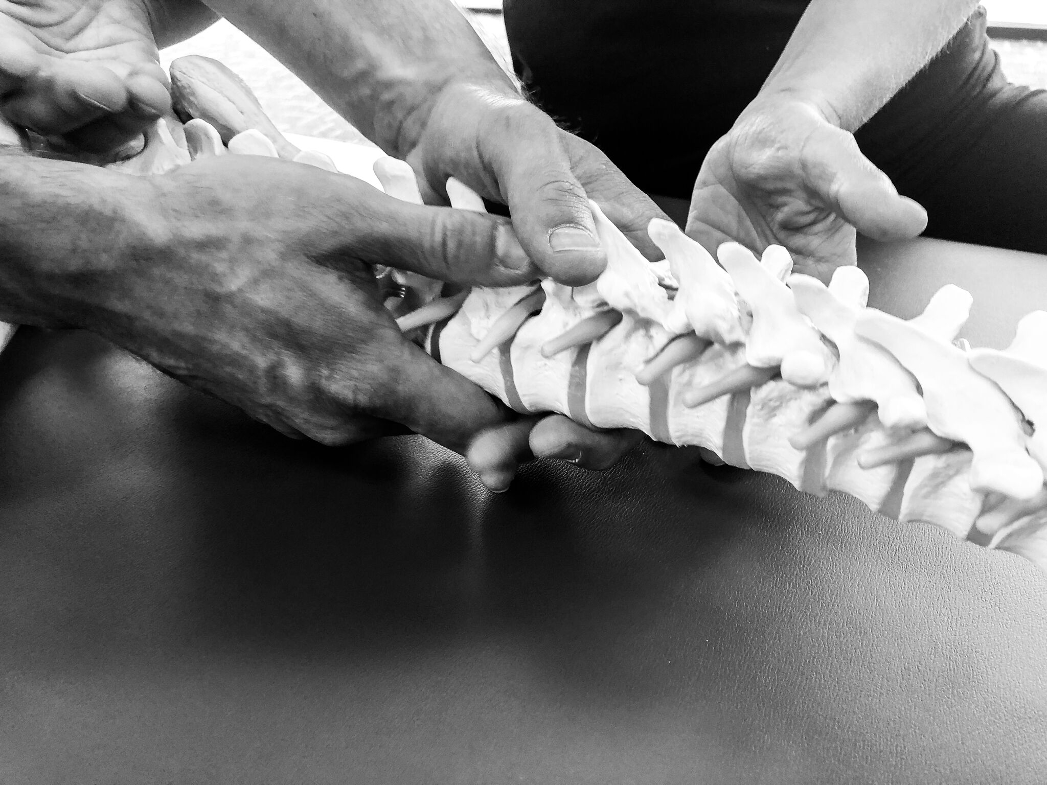 Crafted Physical Therapy Physical Therapy Longmont Colorado