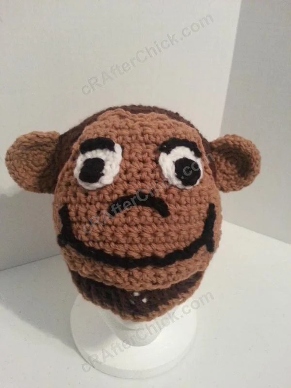 Curious Beanie Hat for Story Reading Time Crochet Pattern