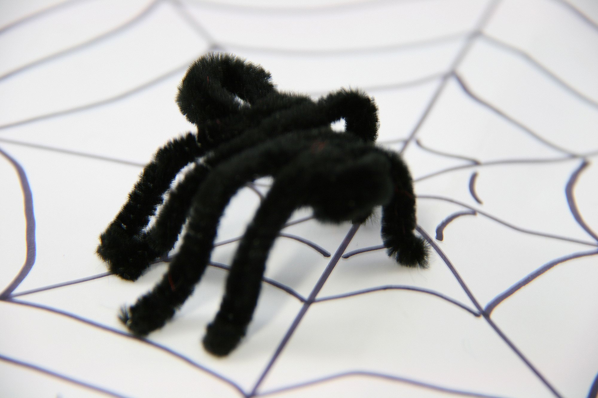 Pipe Cleaner Spiders Craft Fiesta