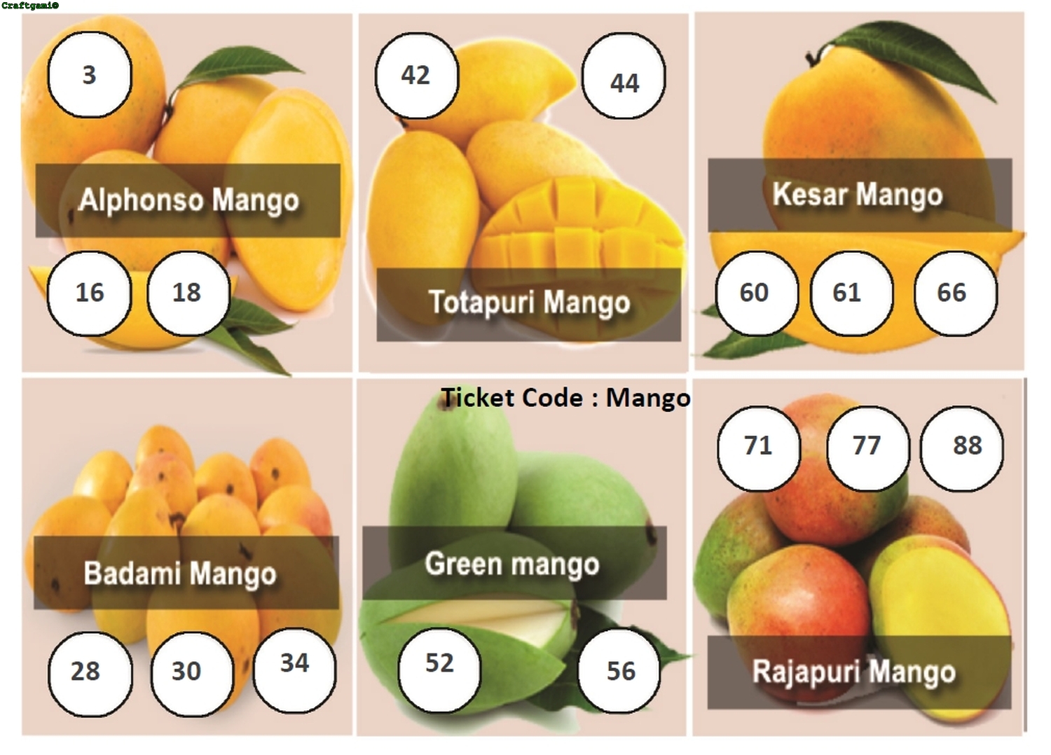 Mango Theme Housie Ticket (24 Tickets) Craftgami