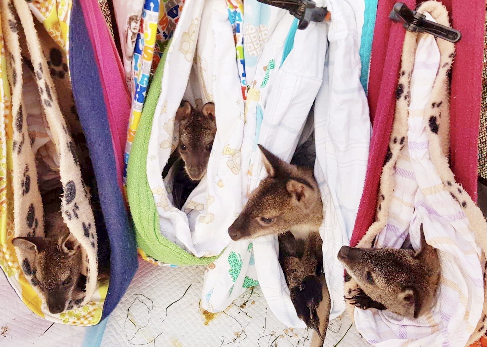 3D Hanging Bags ARC Craft Guild