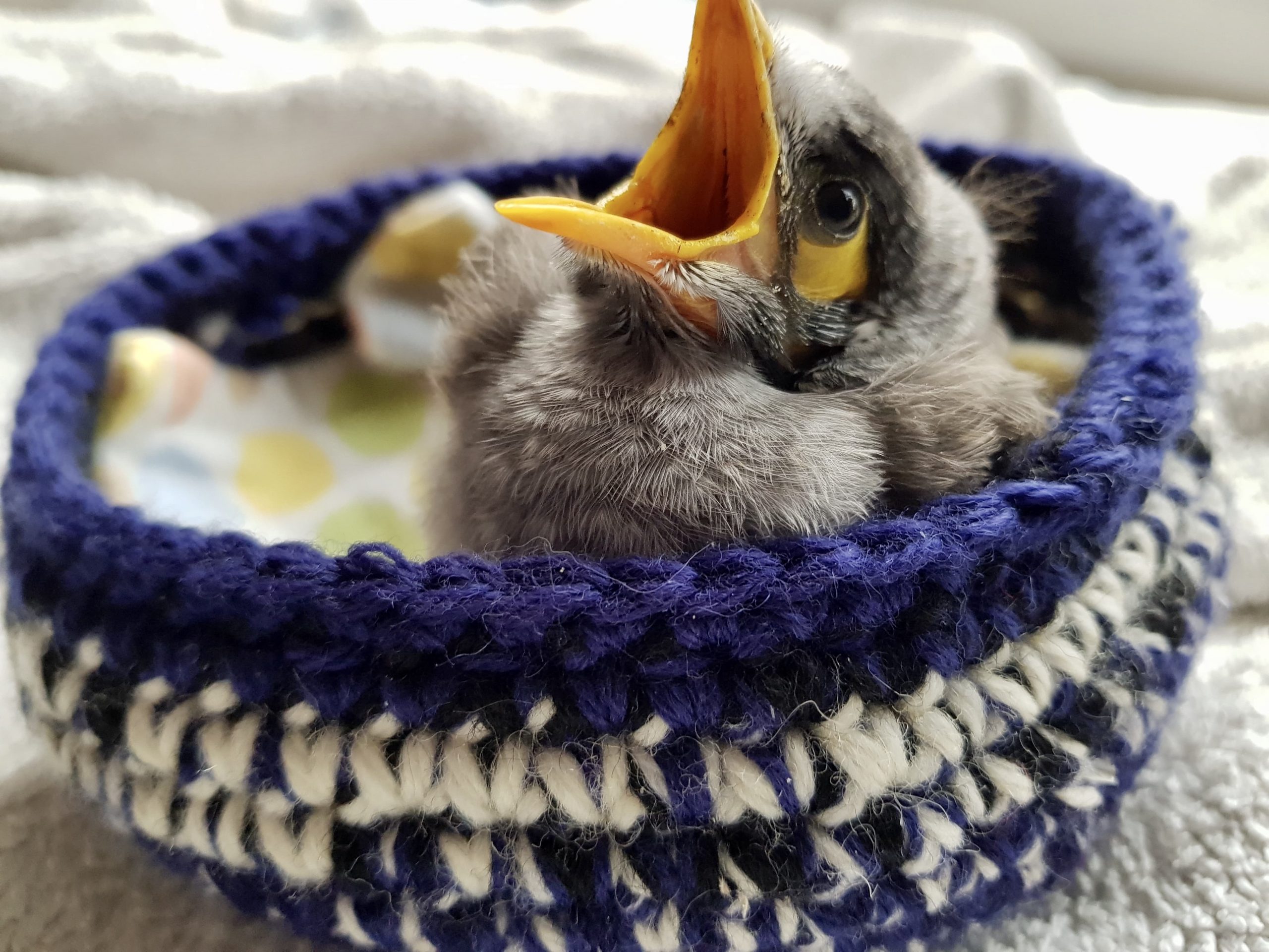 Crocheted Nests ARC Craft Guild