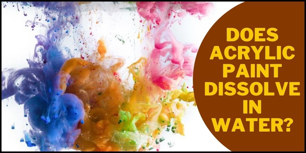 Does Acrylic Paint Dissolve in Water? (The Most Accurate Answer)