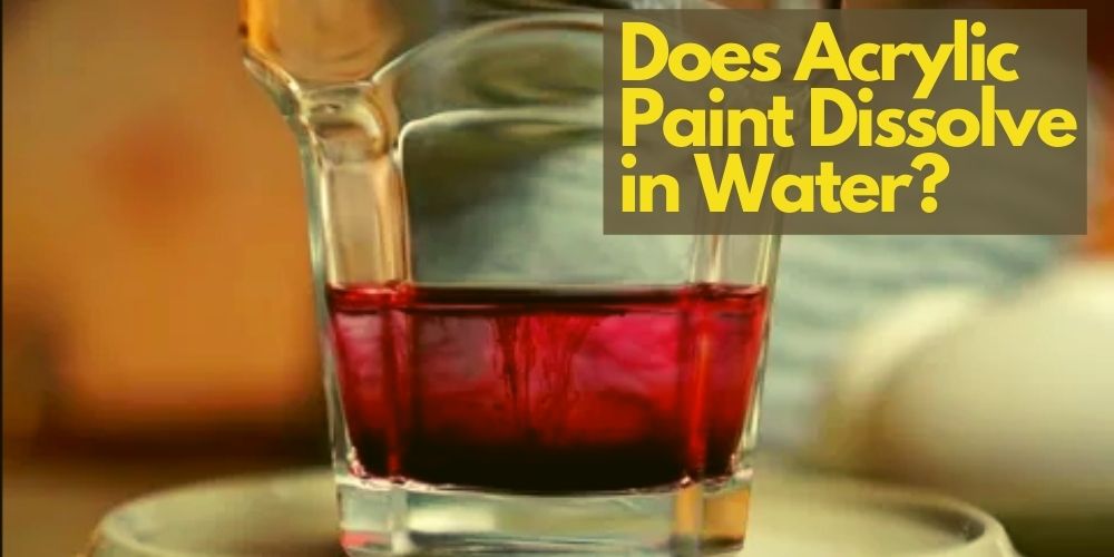 Does Acrylic Paint Dissolve in Water? (The Most Accurate Answer)